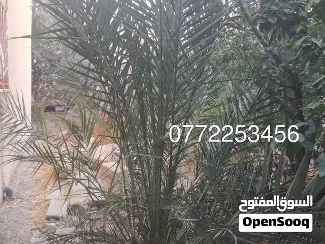 غير شكل منظر الفيلا أو الحديقة