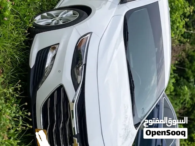 ماليبو هايبرد 2018
