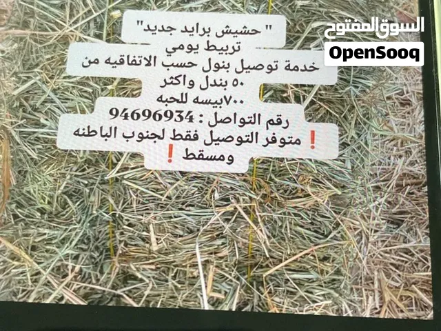 حشيش بريد جديد