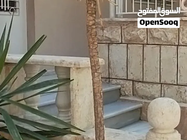 شجرتين يوكا للبيع