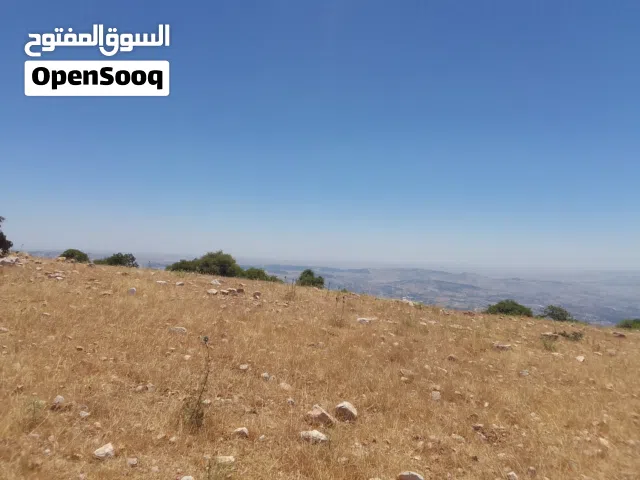 عند باب المحمية في جرش تقع ھذھ الارض الفريدة في مكانھا حيث الاستثمار الجيد