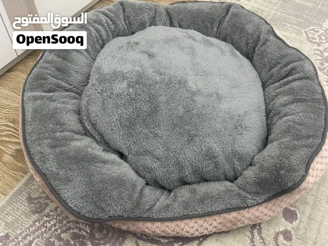 مستلزمات قطط