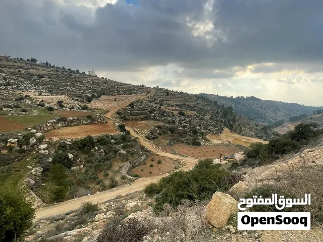 فقط الف دينار شهريا ارض مميزة بالتقسيط أولها شك وآخرها شك