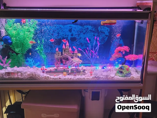 حوض سمك للبيع