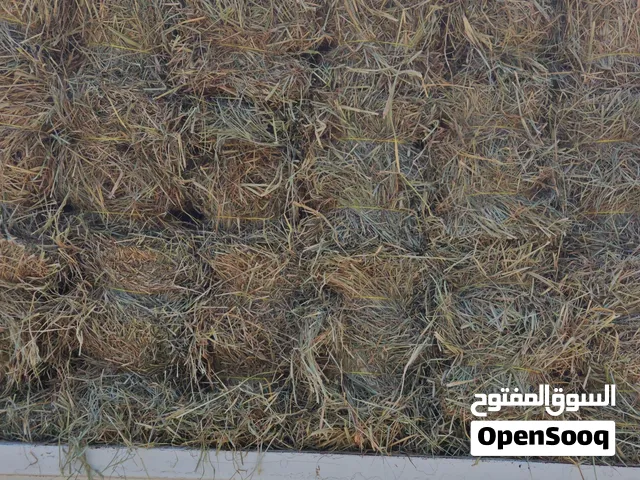 حشيش ناعم وجديد برايد السويق نوفر حسب الطلب