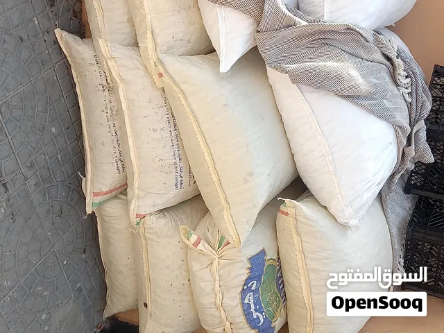 ارحبوو شبلب للبيع نفيعه