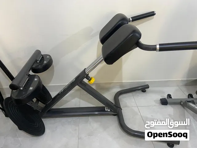 New Hyperextension bench extension sportsart company
