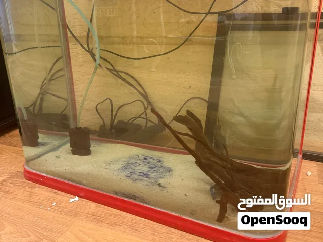 حوض سمك اكسترا كلير قلاس معه كل مستلزماته فلتر و إسفنج إضافي و رمل و خشب إذا حاب