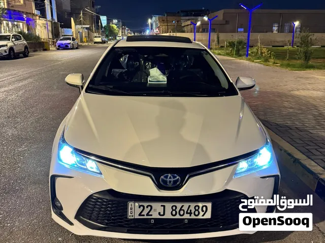 كورلا هايبرد