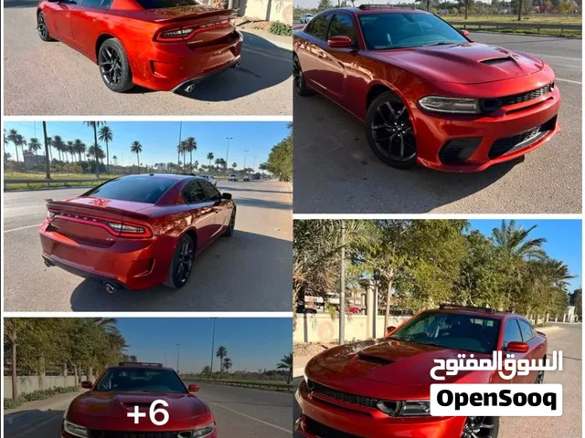 البيع جارجر