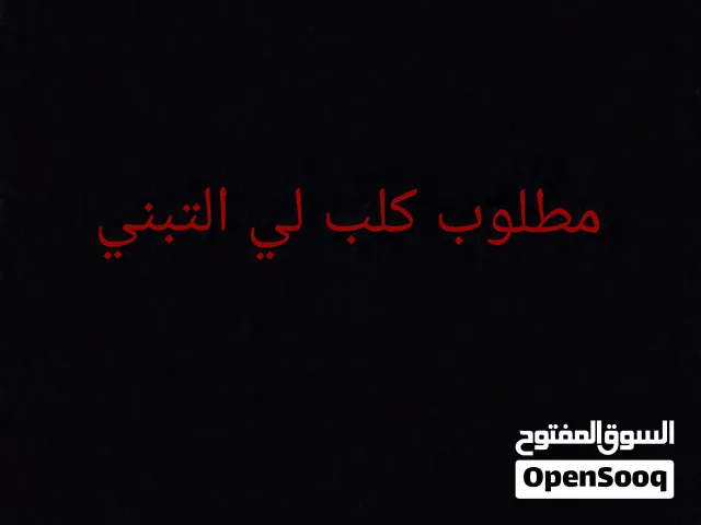 مطلوب كلب اوجرو لي التبديل بي دراجه بي ام اكس ربي يبرك أو كونه في ازيده انزيدو
