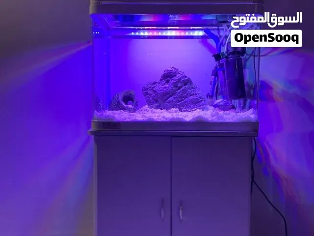aquarium fish tank for sale with filter and light  size 60×40حوض سمك للبيع مع كامل ملحقاته