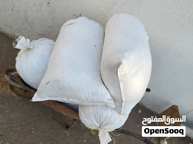 سماد أبقار نضيف