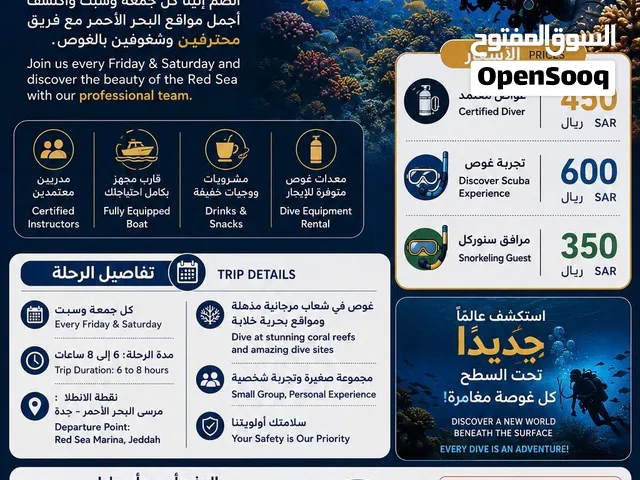تجربة غوص فريدة من نوعها للمبتدئين مع الصور تحت الماء