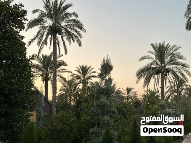 بيوت للبيع  البيت الاول 85 متر البيت الثاني 70متر وباسعار مناسبة جدا