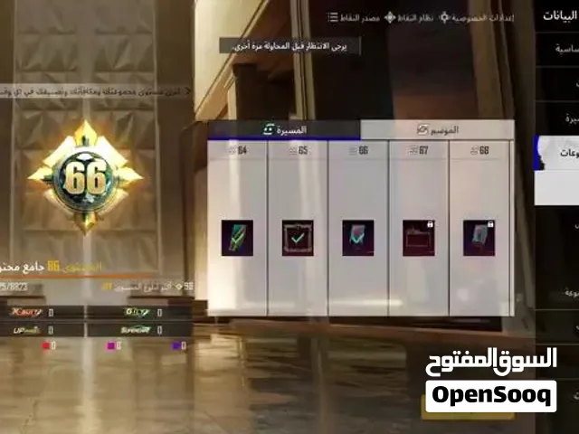 Pubg Accounts and Characters for Sale in Saada