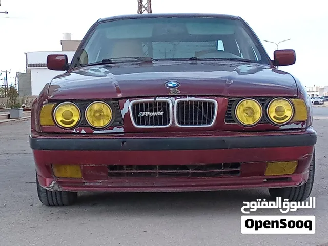بي ام خفاش