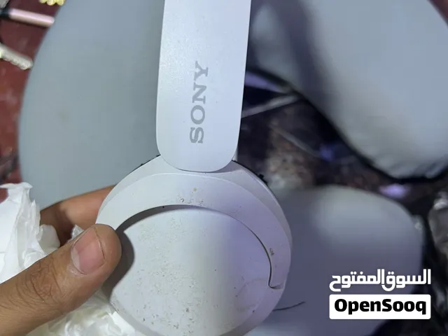Sony WH-CH520