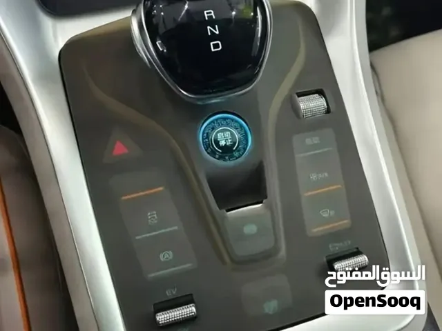 بي واي دي جنج بلص 2024