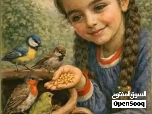 قفص كبير للطيور