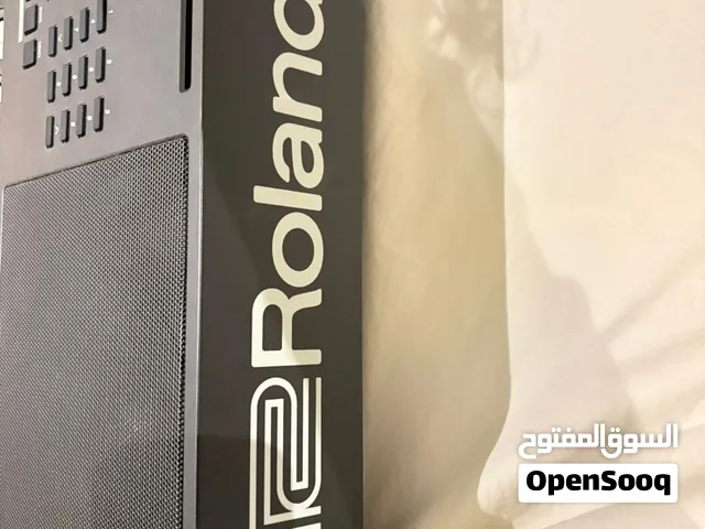 اورغ رولاند EX-20