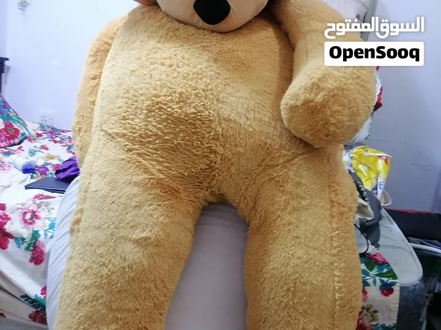 Teddy bear