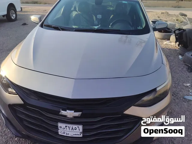 شوفر ليت ماليبو 2022