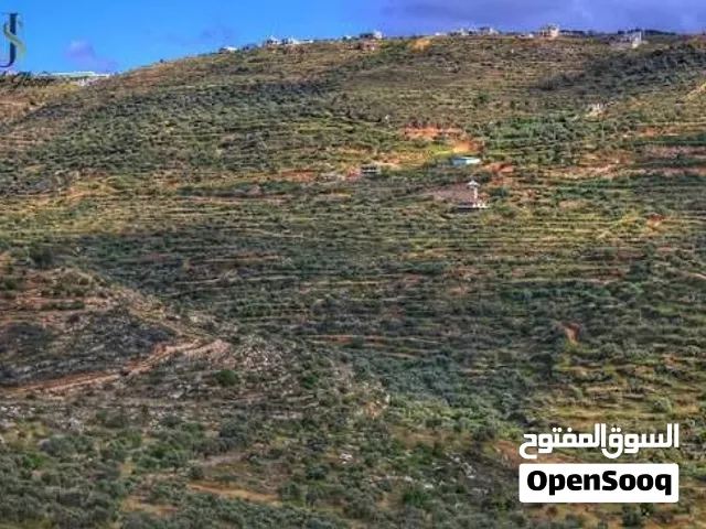 ارض سكنيه للبيع بسعر مميز من المالك مباشره