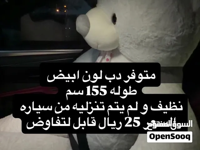 دب ابيض نظيف جدا للبيع بسعر قابل لتفاوض