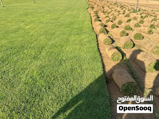 مسطحات خضراء للبيع ف الامارات