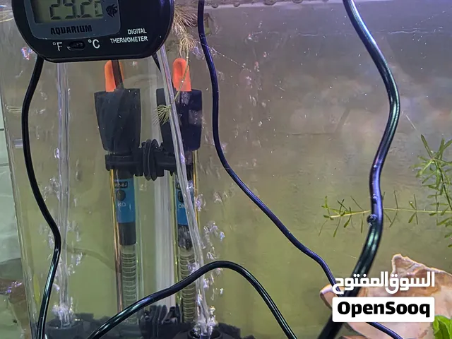 aquarium digital thermometer for sale (new)