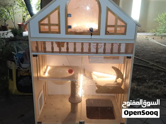 بيت القطط من الخشب  في لتر بوكس  وستور. فوق وتحت Wooden cat house