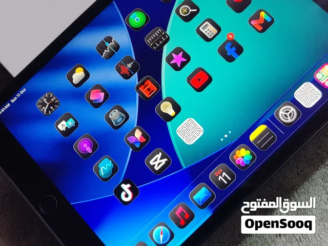 ipad 8 Generation 75 rayal
