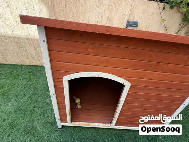 بيت كلاب للبيع