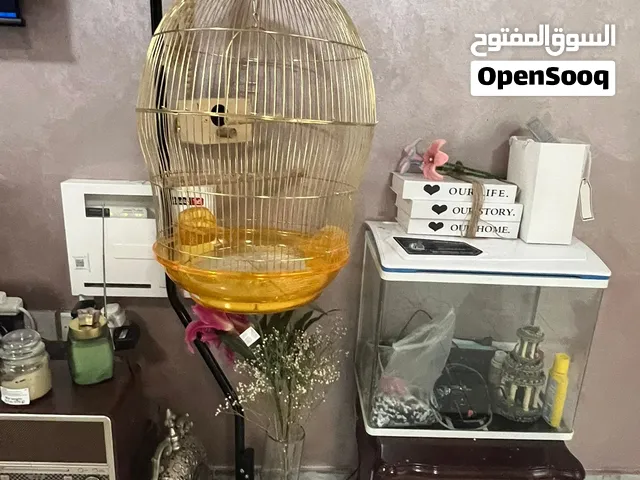 قفص ببغاواة و عصافير