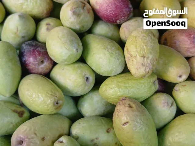 نشتري جميع أنواع زيتون من كيلو ال طن