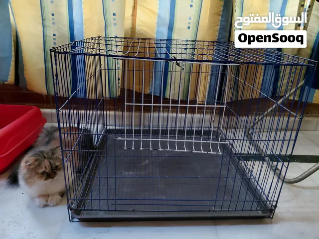 بوكس للكلاب والقطط