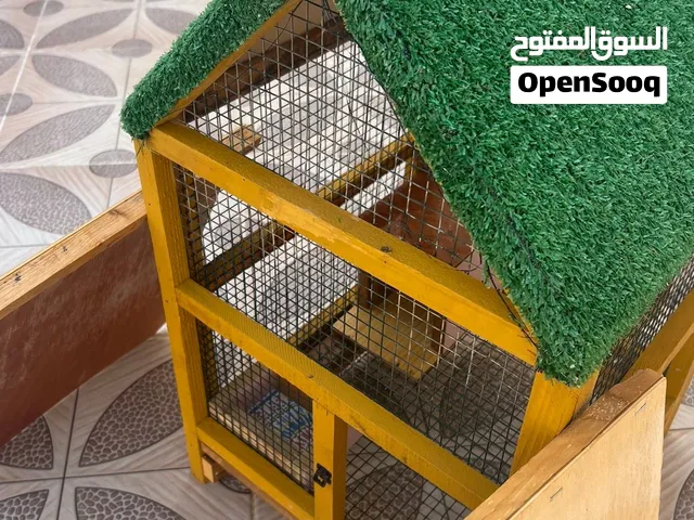 قفصاً للطيور