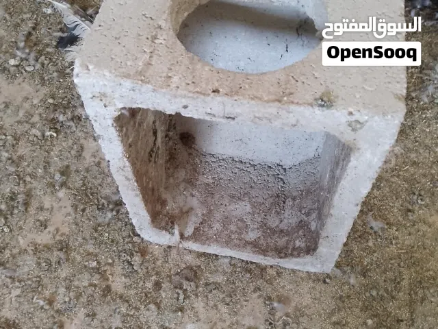 قنون حمام بلوك