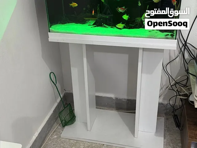 Glass aquarium With Stand, LED Heater and Filter
