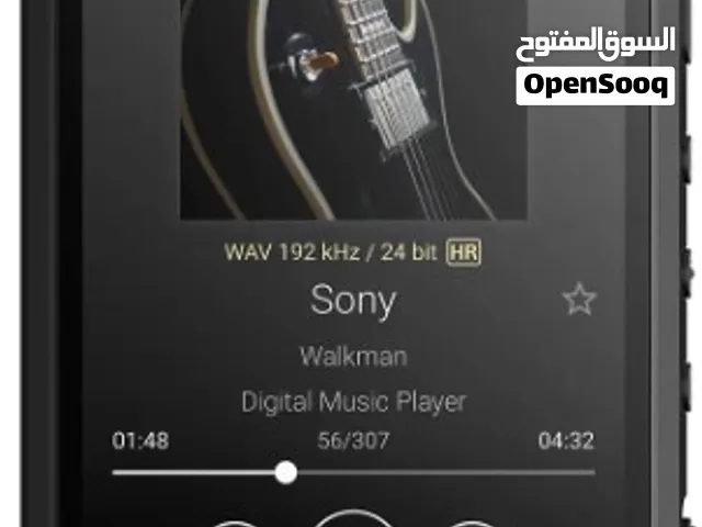 Sony NW-A306 Portable Music Player