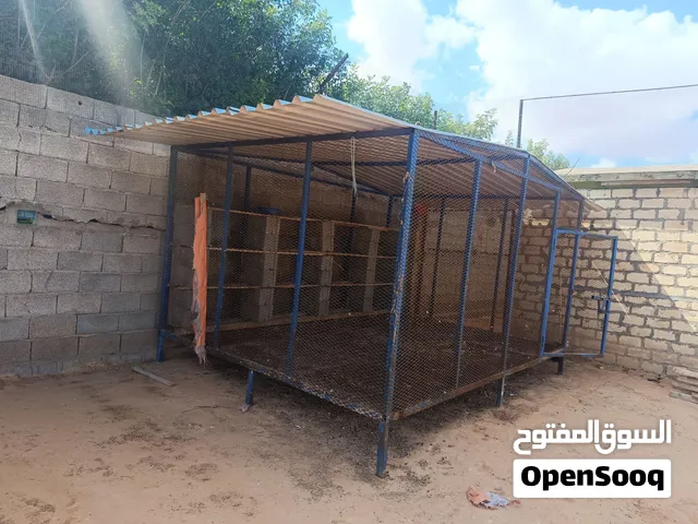 حضيره طيور الحجم 3في 4