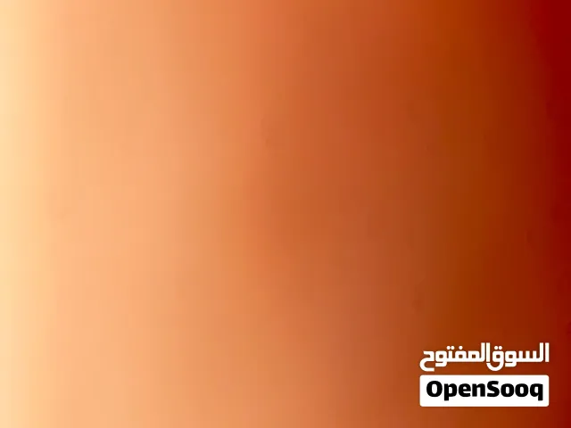 ايفون 11 برو ماكس