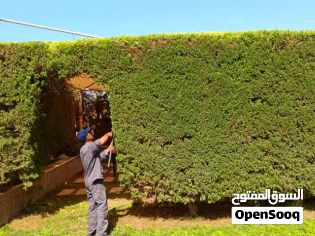 خدمات بستنة وتنسيق حداىق