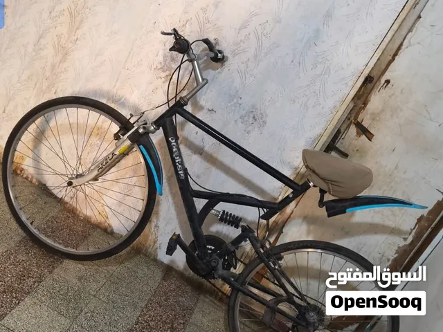 Bicycle (Adult)