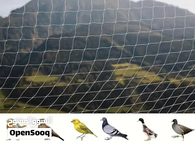 شبك حماية الحيوانات وصيد الطيور
