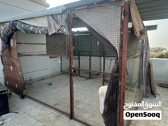 قفص نضام غرفه  جداً ممتاز