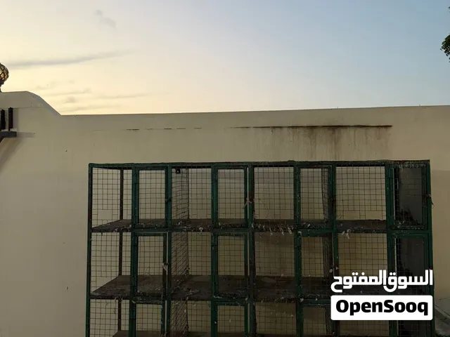 محاكر للبيع