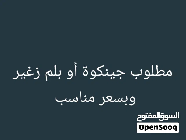 مطلوب بلم أو جينكوة أو زورق داخل البصرة