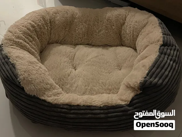 Rosewood dog bed in Rak